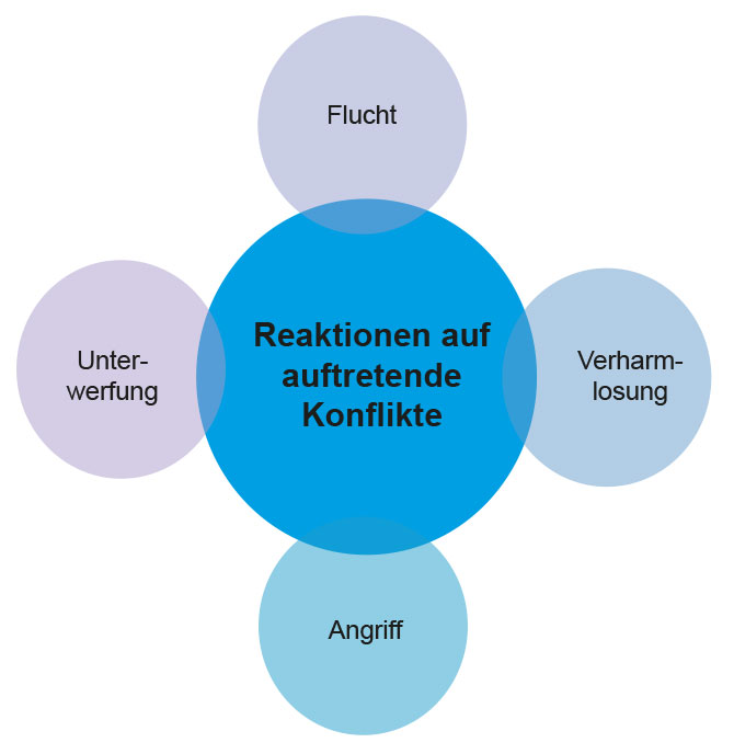 Grafik Reaktionen auf auftretende Konflikte